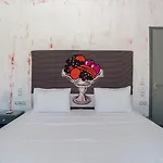 Hotel Boutique